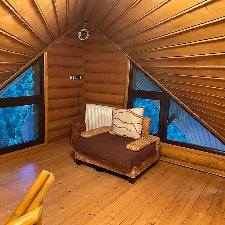 Casa Del Pozitiff Slavske